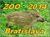 Bratislava 2014